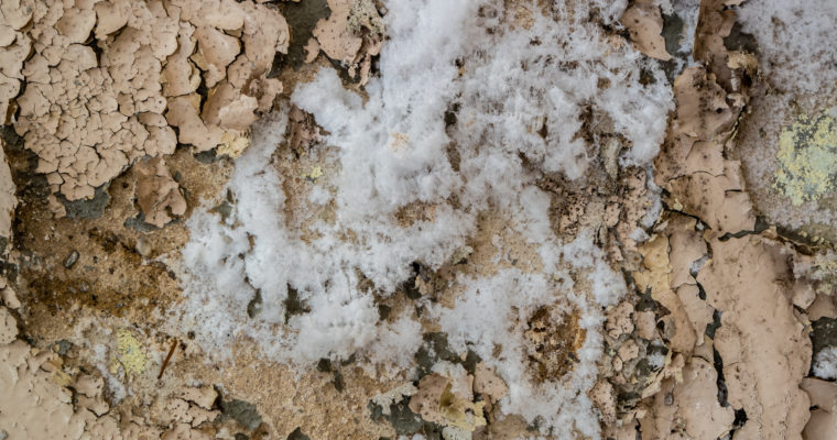 salpetre mur - traitement salpêtre par les experts humidité Vivrosec