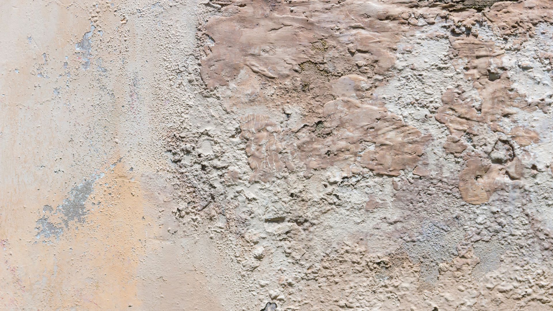 Salpêtre Traitement