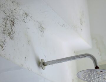 Humidité dans les salles de bain sans fenêtre : quelles solutions efficaces et durables ?